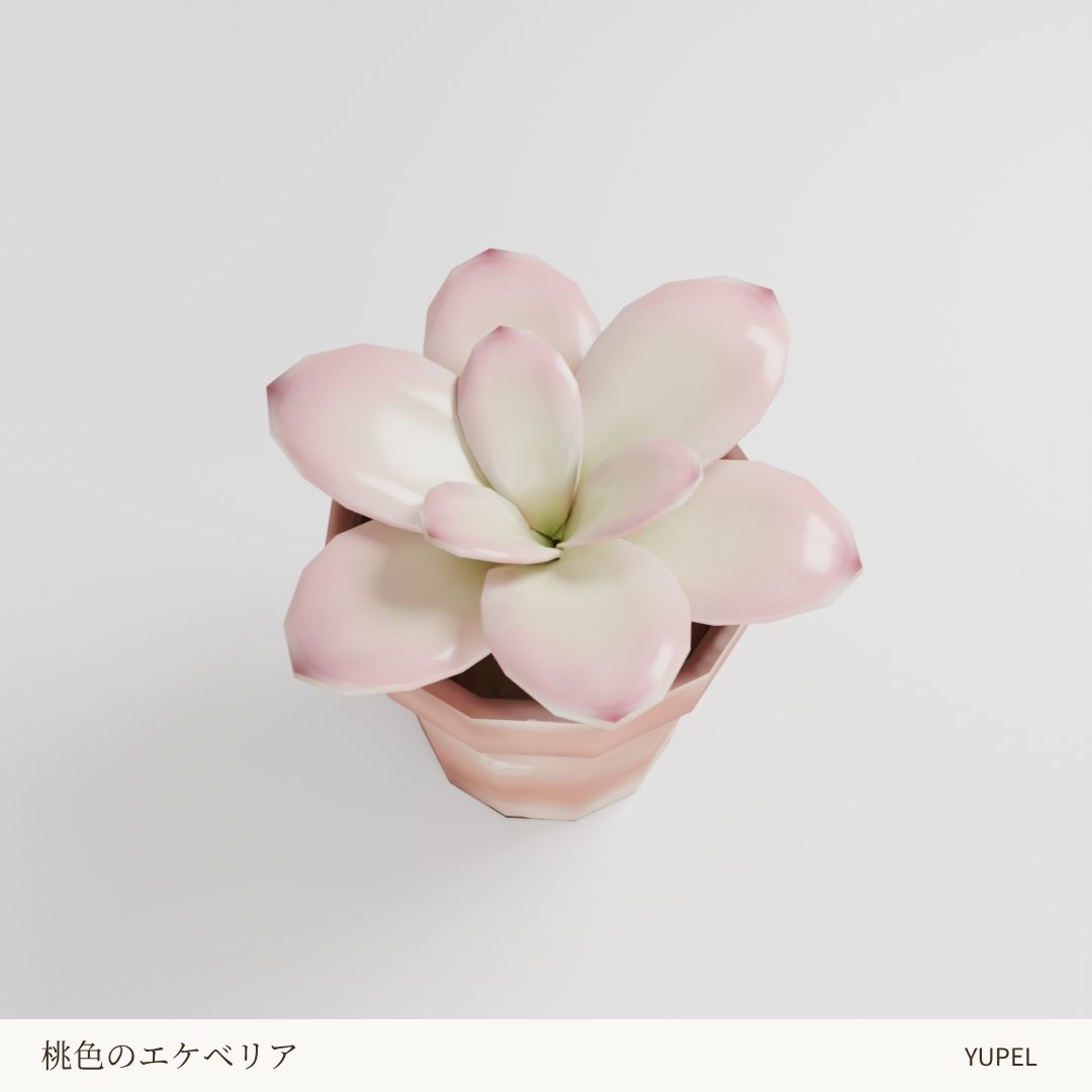 素焼き鉢に植えた桃色のエケベリア（多肉植物）の3Dモデル